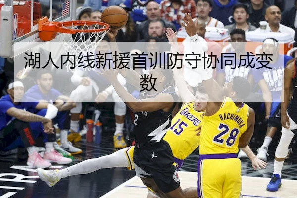 湖人内线新援首训防守协同成变数